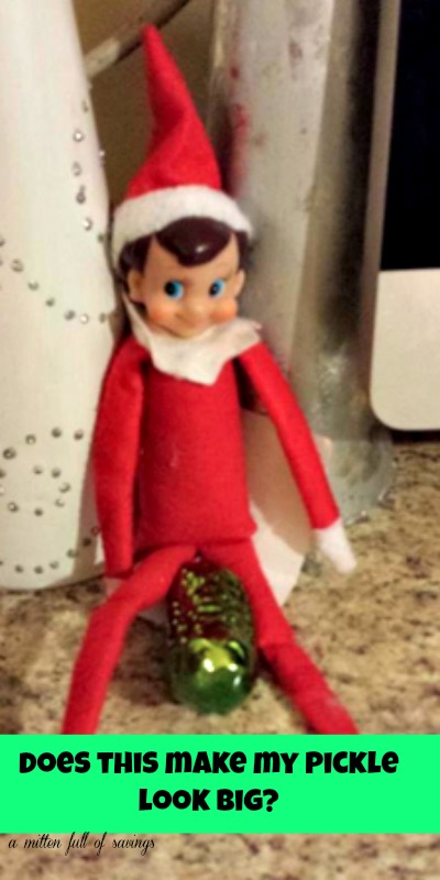 elfie and the pickle elf on the shelf ideas