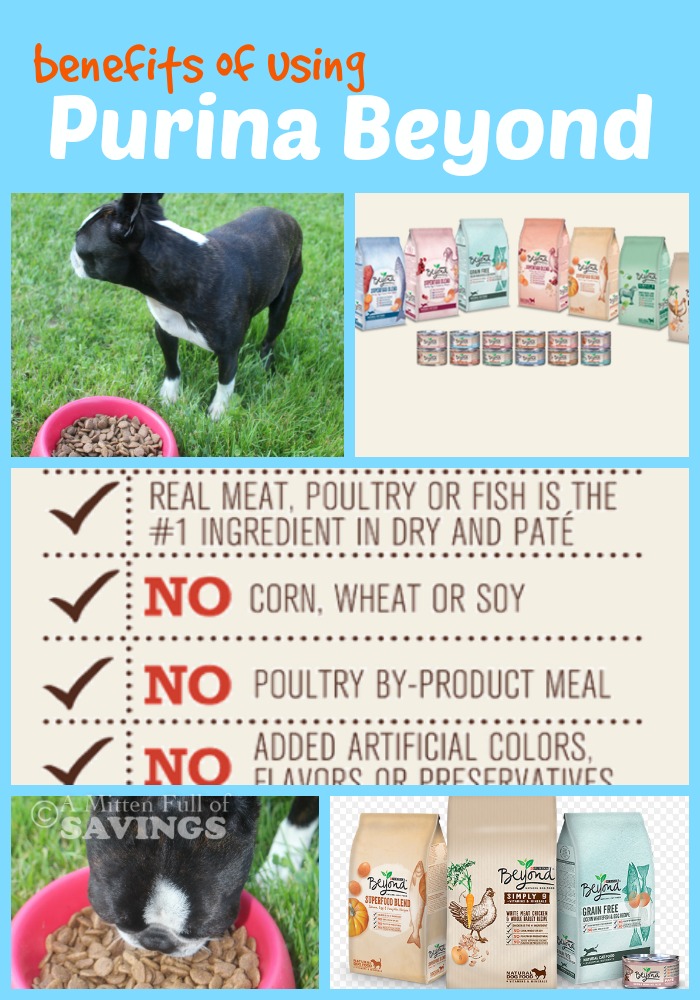 Benefits of Purina Beyond Natural Pet Food