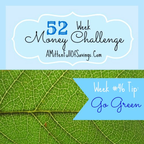 Did you know that going green can help you save money? In this week's 52 week challenge tip we talk about tips that can help you go green and SAVE!!