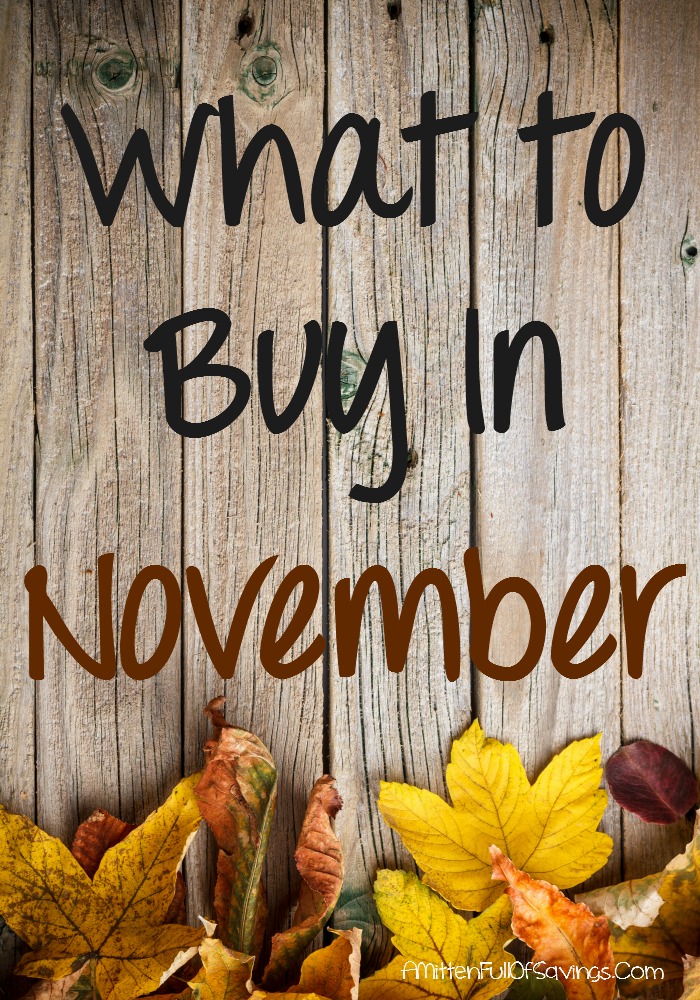 What to buy in November
