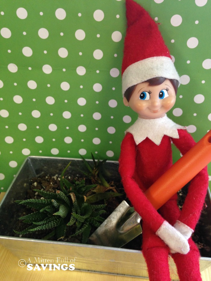 Elf on the Shelf Idea- Let's Garden