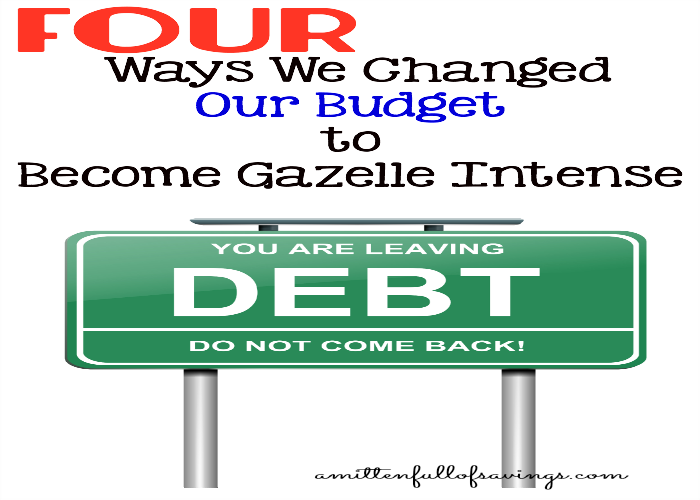 4 Ways We Changed Our Budget to Become Gazelle Intense FB