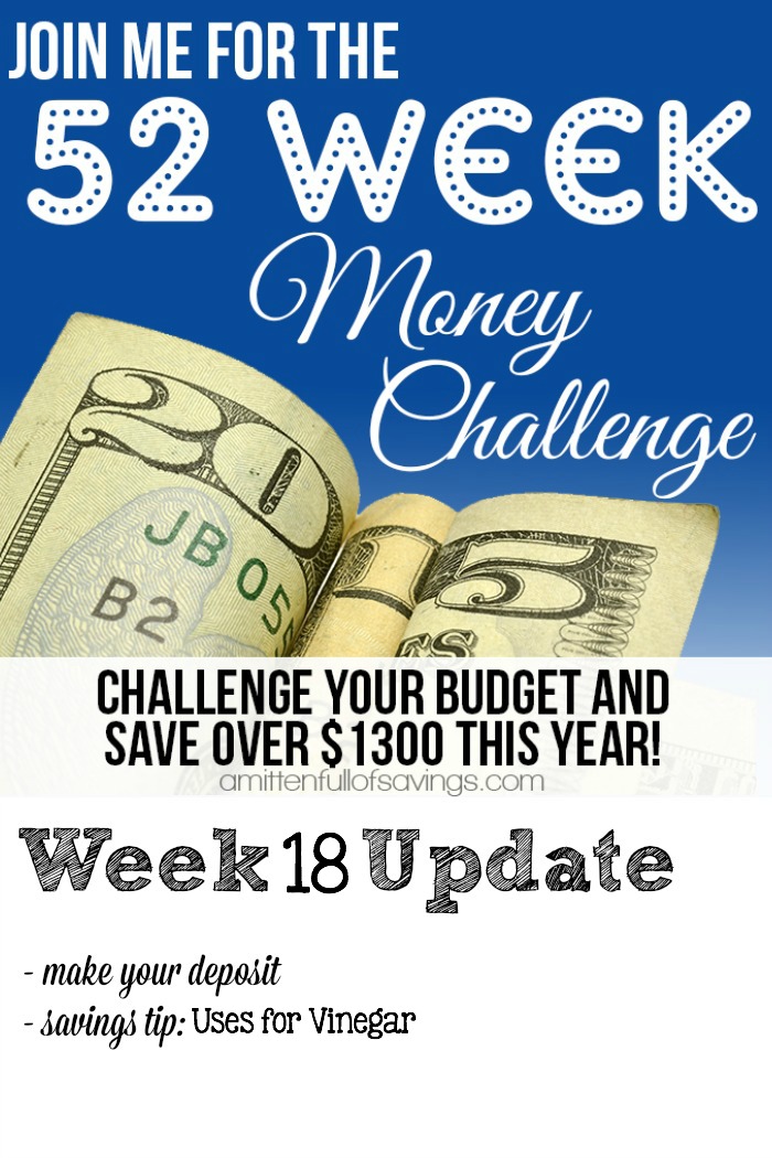 52 Week Challenge: Ideas for Saving Money- Uses for Vinegar