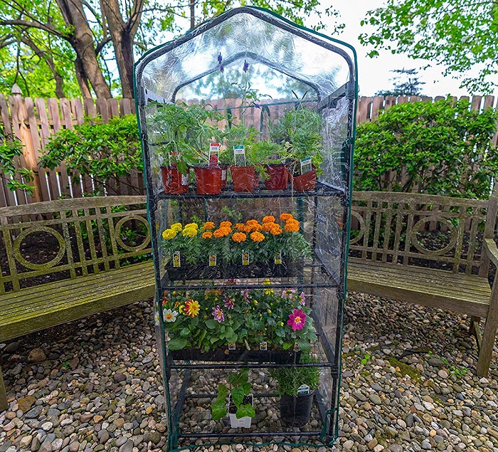 Amazon Deal Gardman 4Tier Mini Greenhouse Fresh Outta Time