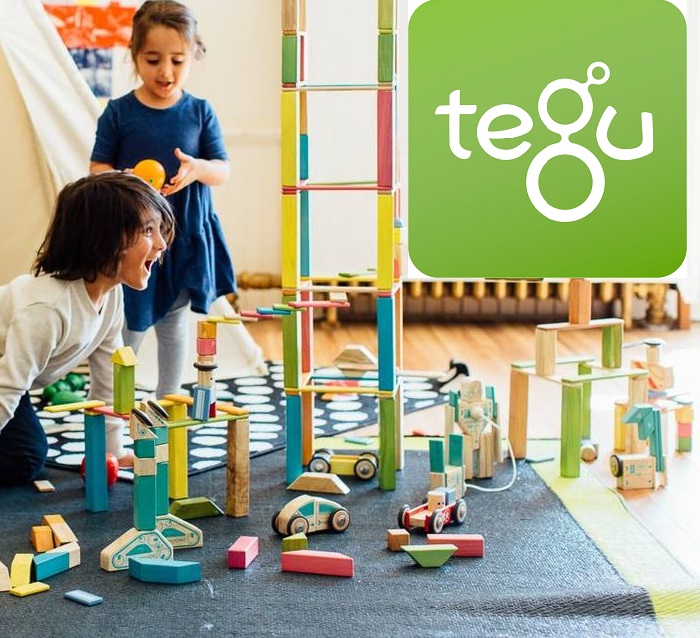 Amazon Deal of the Day Tegu Building Blocks