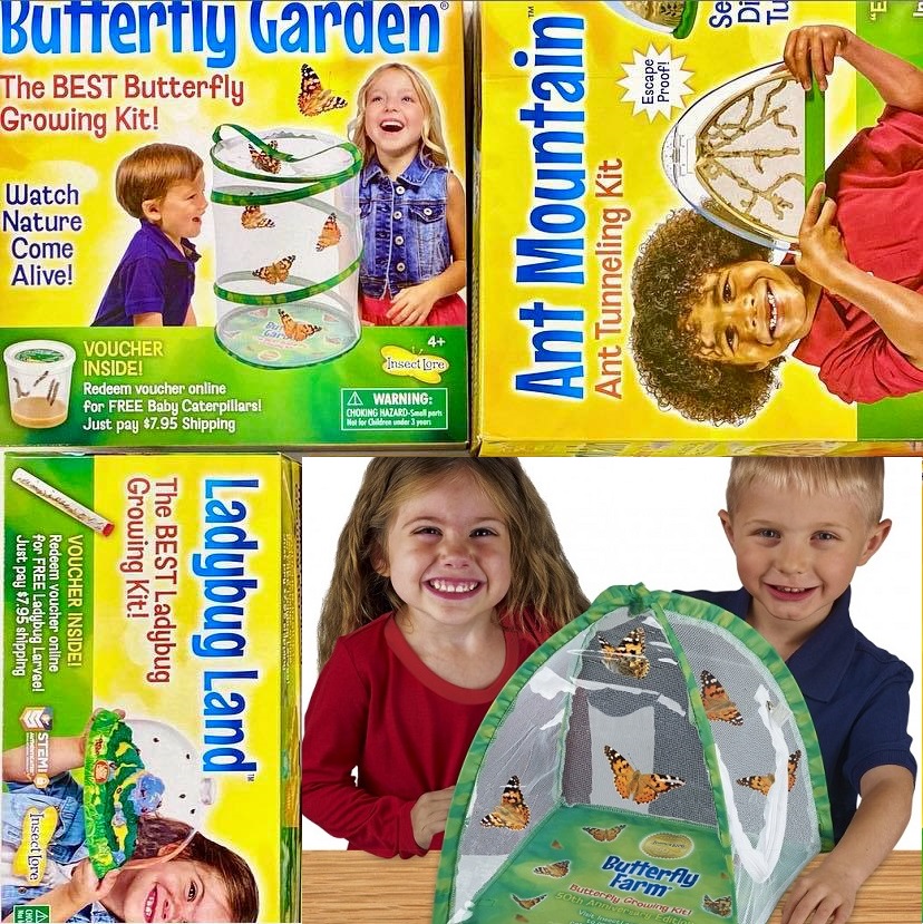 Amazon Deal of the Day Up to 36 off Insect Lore